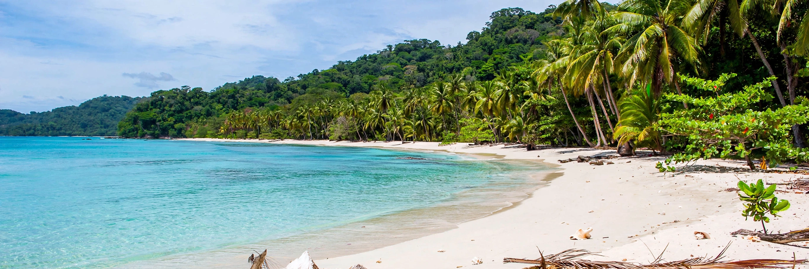 Paisaje de Cahuita