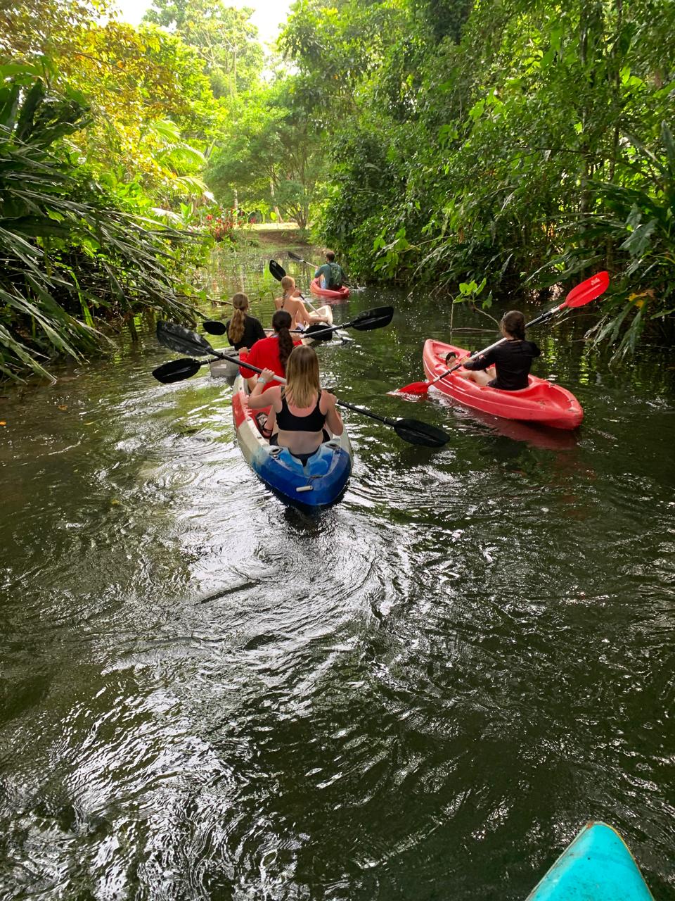 Kayak en manglares